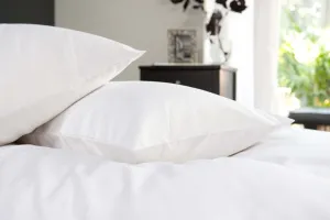 800 Thread Count Cotton Oxford Pillowcase