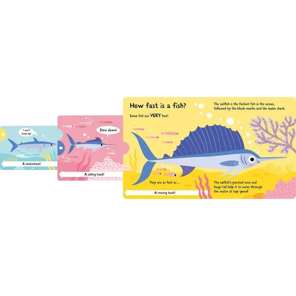 How Wide is a Whale?