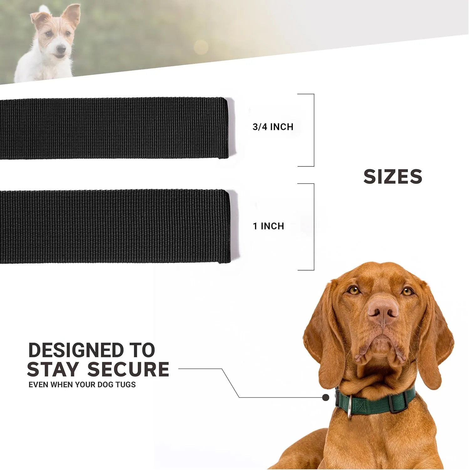 Racing Dog Collar – University of Illinois Adjustable Pet Collars, 1" Wide, Large, Smoke