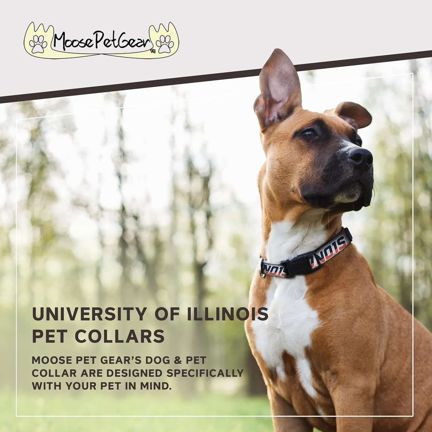 Racing Dog Collar – University of Illinois Adjustable Pet Collars, 1" Wide, Large, Smoke