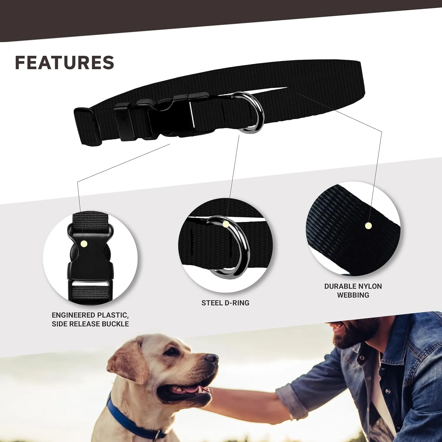 Racing Dog Collar – University of Illinois Adjustable Pet Collars, 1" Wide, Large, Smoke