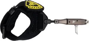 Spark 2.0 Buckle