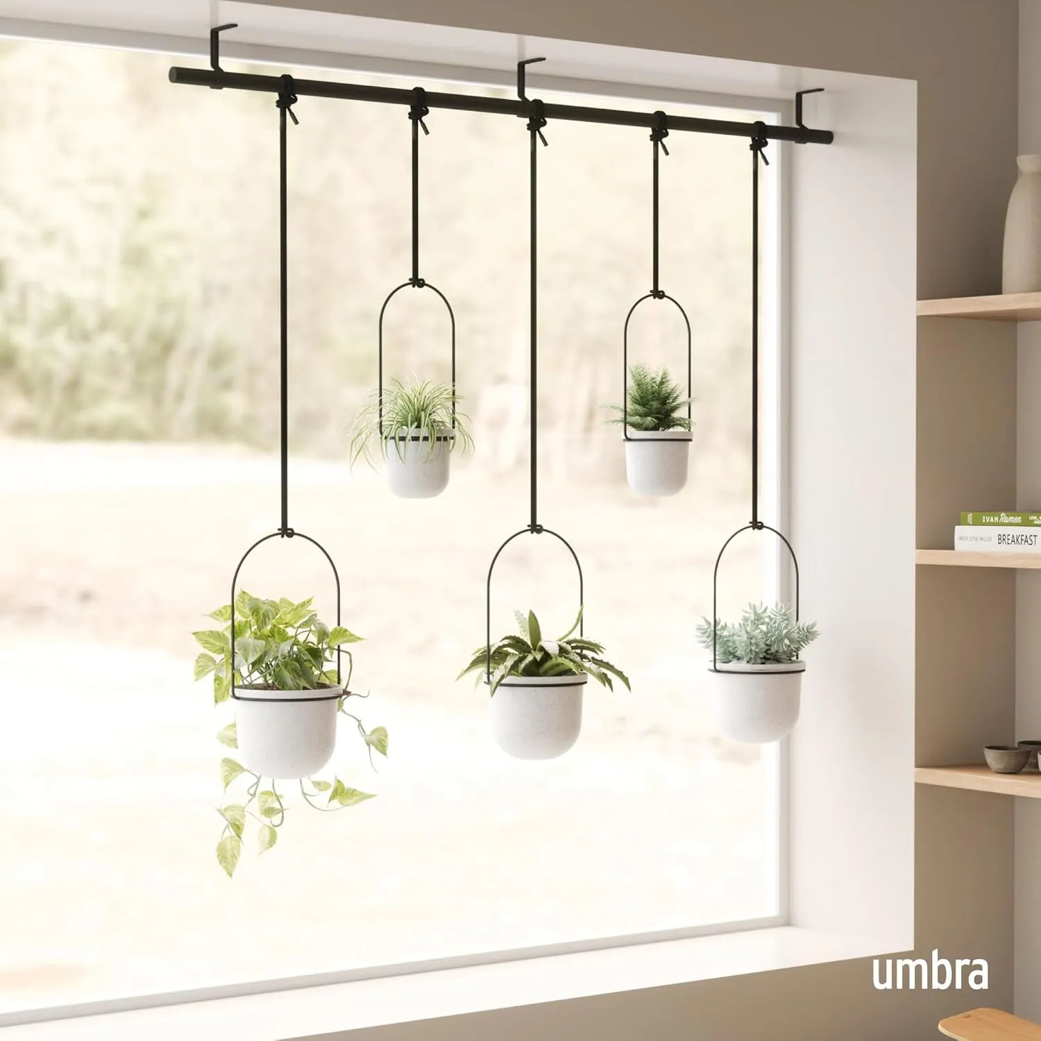 Umbra Triflora Hanging Planter for Window, Indoor Herb Garden, Set of 5, White/Black