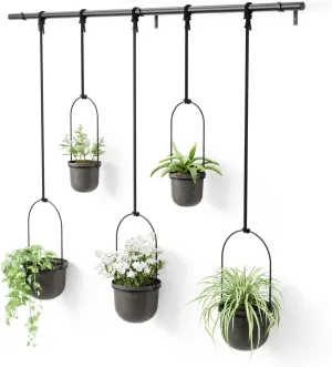 Umbra Triflora Hanging Planter, Set of 5, Black