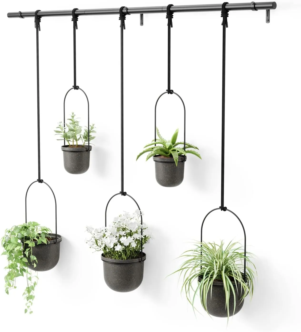Umbra Triflora Hanging Planter, Set of 5, Black