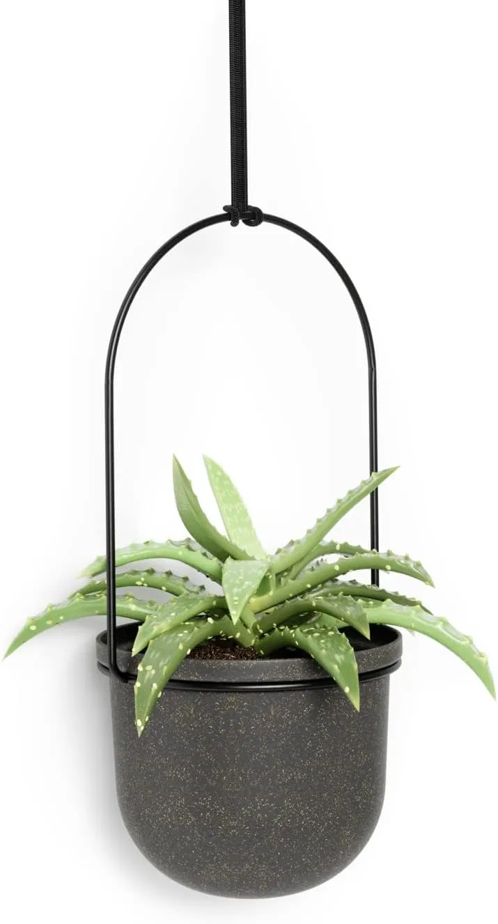 Umbra Triflora Hanging Planter, Set of 5, Black