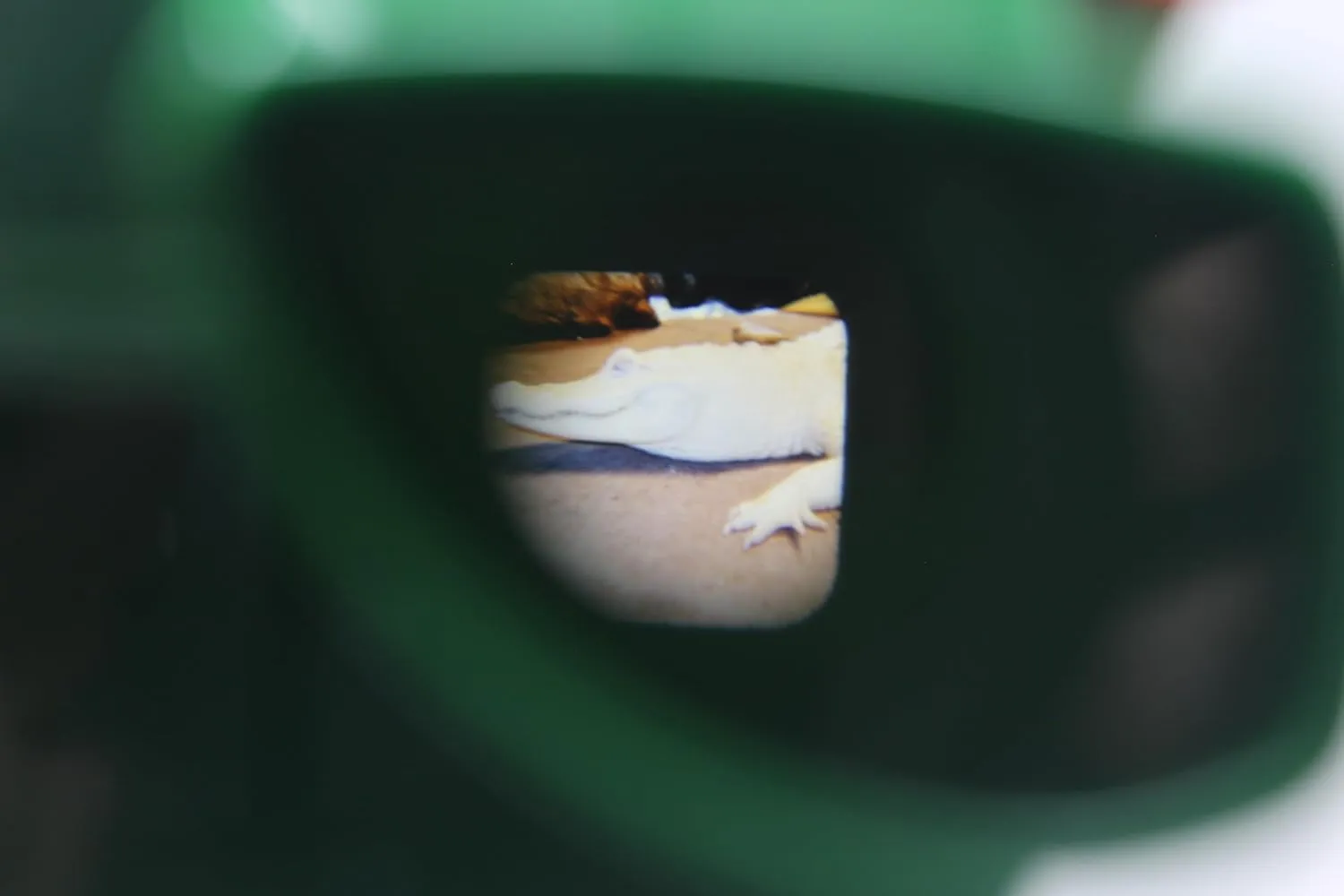 Warm Fuzzy 3D Viewfinder (Alligator) - Kids & Adults Classic Slide Viewer, 3D Reel Viewer, Retro Vintage Toys with 3 Reels - 21 High Definition 3D Images