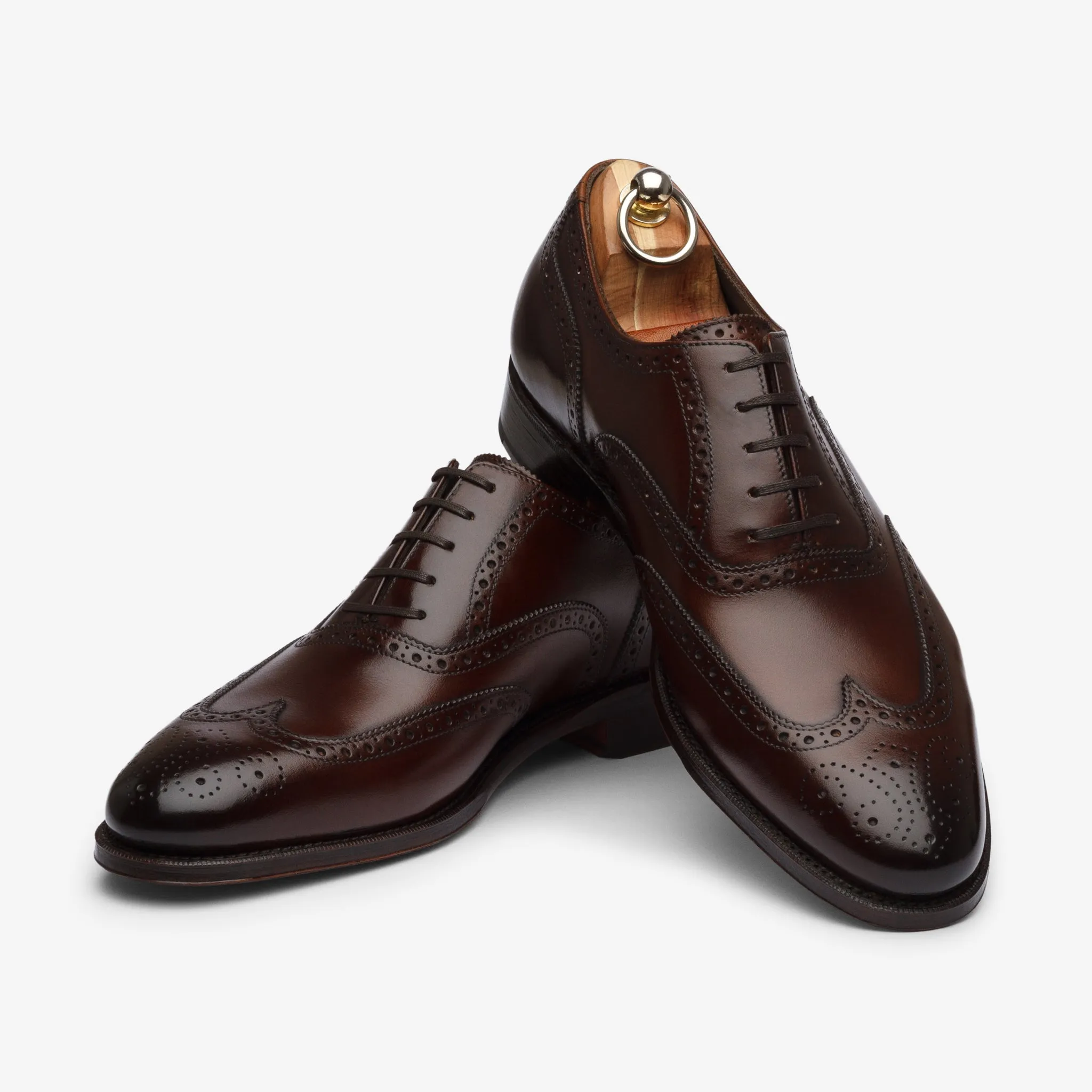 Wingtip Oxford - Brown - Zip Last